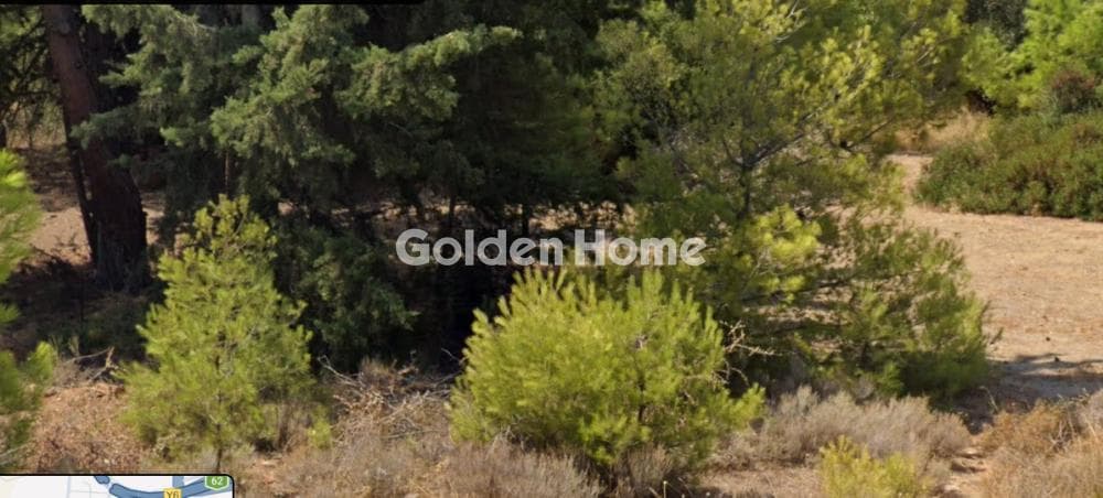 Οικόπεδο στην Κέντρο, Γλυκά Νερά — Φωτογραφία 1 από 2