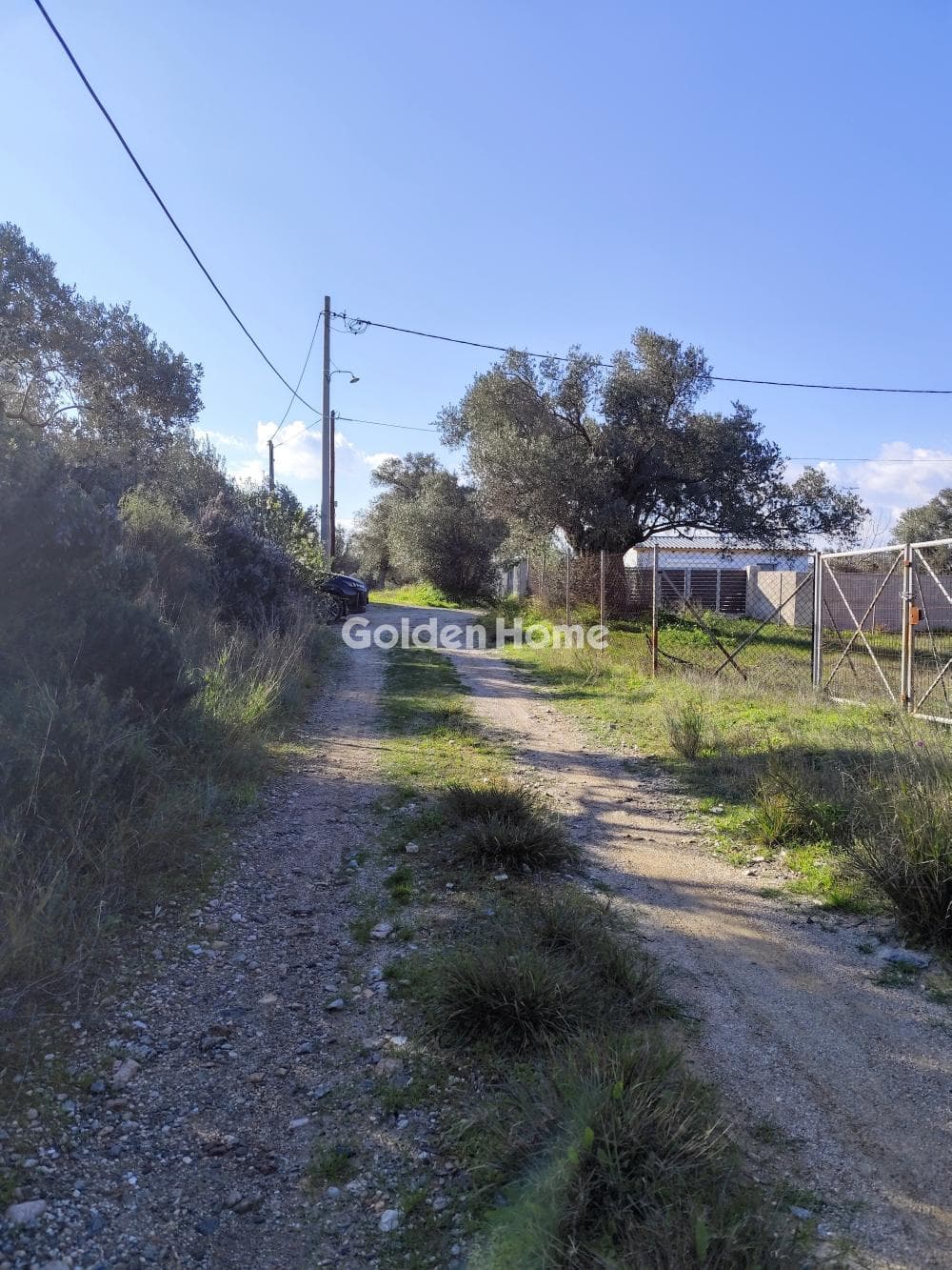 Parcel in Kefleika, Kalivia Thorikou — Photo 7 of 8