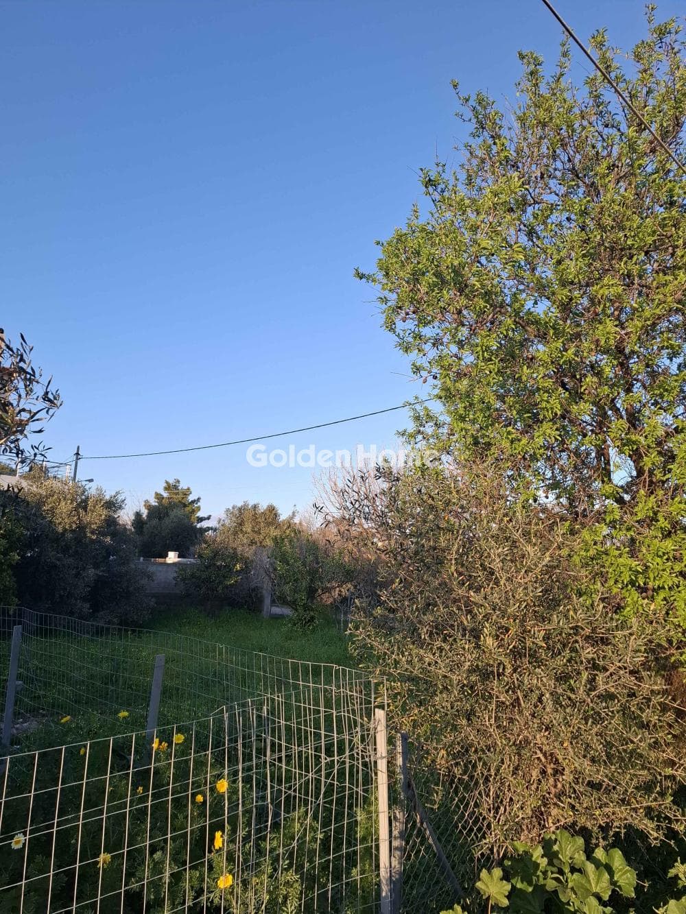 Οικόπεδο στην Κέντρο, Αρτέμιδα (Λούτσα) — Φωτογραφία 1 από 5