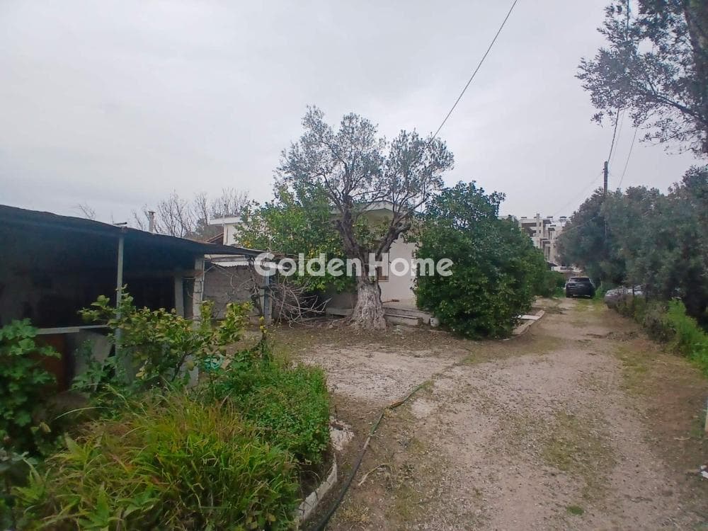 Οικόπεδο στην Αγία Κυριακή, Κηφισιά — Φωτογραφία 9 από 12