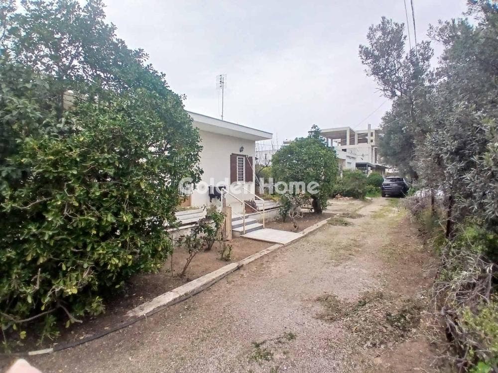 Οικόπεδο στην Αγία Κυριακή, Κηφισιά — Φωτογραφία 12 από 12