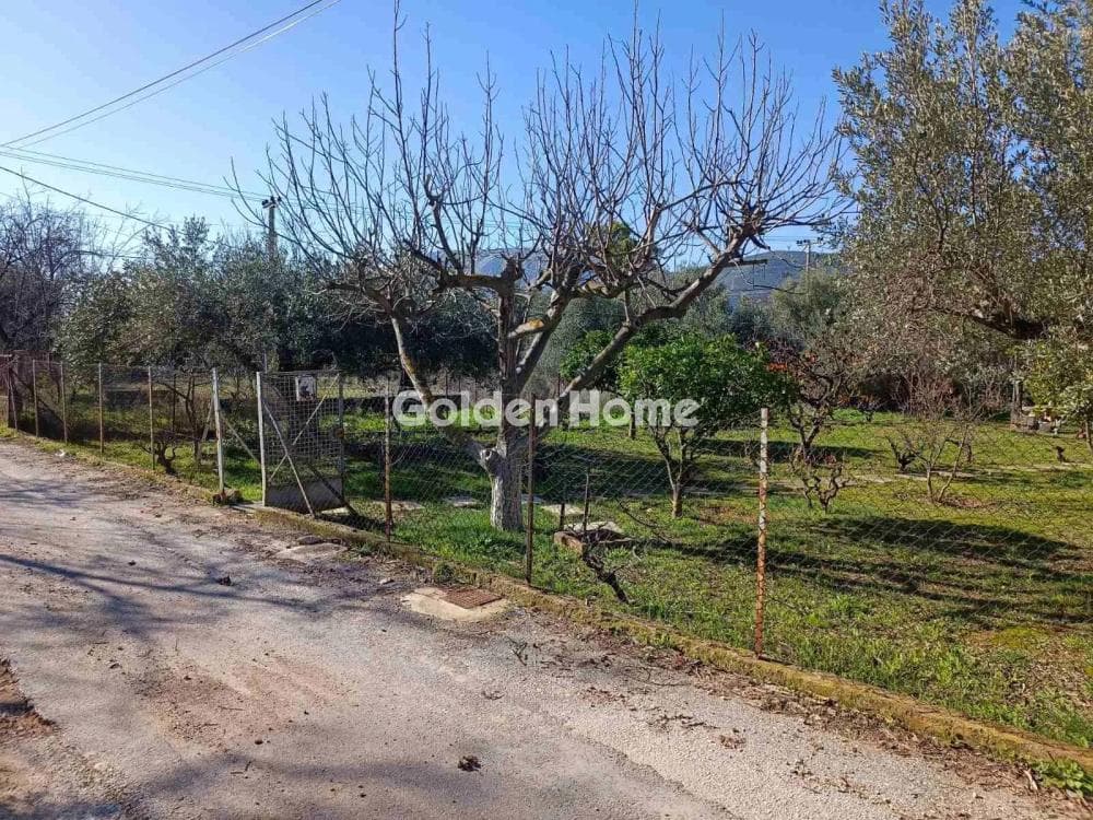 Οικόπεδο στην Άνω Μπαλάνα, Παλλήνη — Φωτογραφία 2 από 3