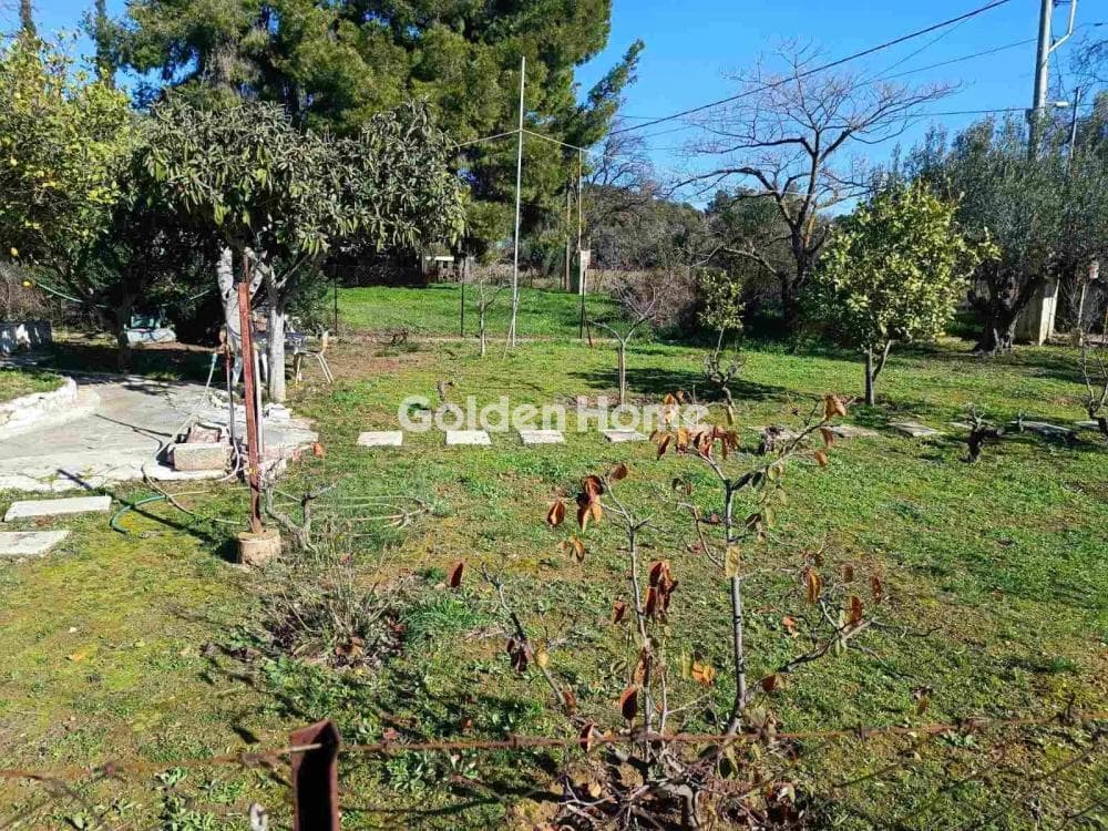 Οικόπεδο στην Άνω Μπαλάνα, Παλλήνη — Φωτογραφία 3 από 3