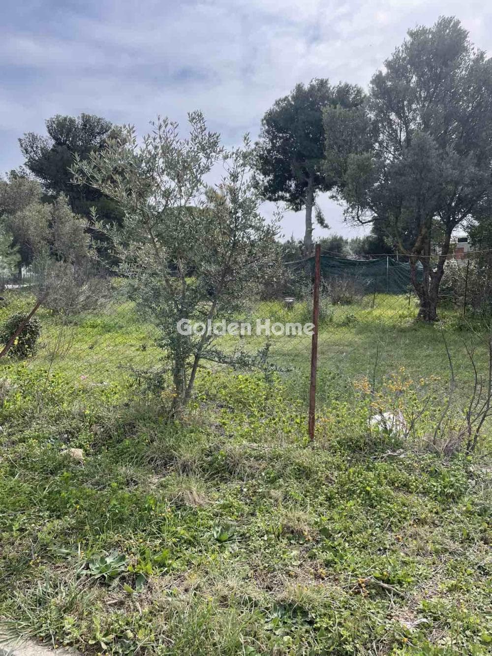 Building Plot in Adames Oikismos Grammos - Foinikas, Kifisia — Photo 2 of 5