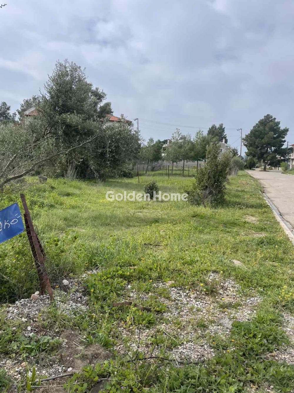 Building Plot in Adames Oikismos Grammos - Foinikas, Kifisia — Photo 5 of 5