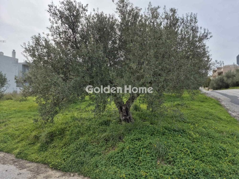 Building Plot in Poros, Heraclion Cretes — Photo 2 of 7