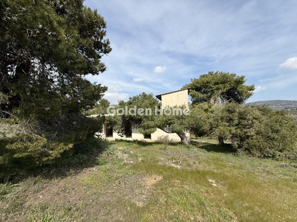 House in Lamprika, Koropi — Photo 1 of 20