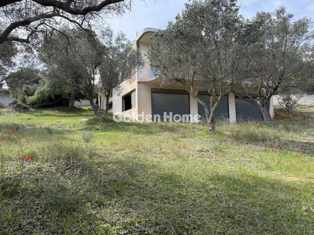 House in Lamprika, Koropi — Photo 4 of 20