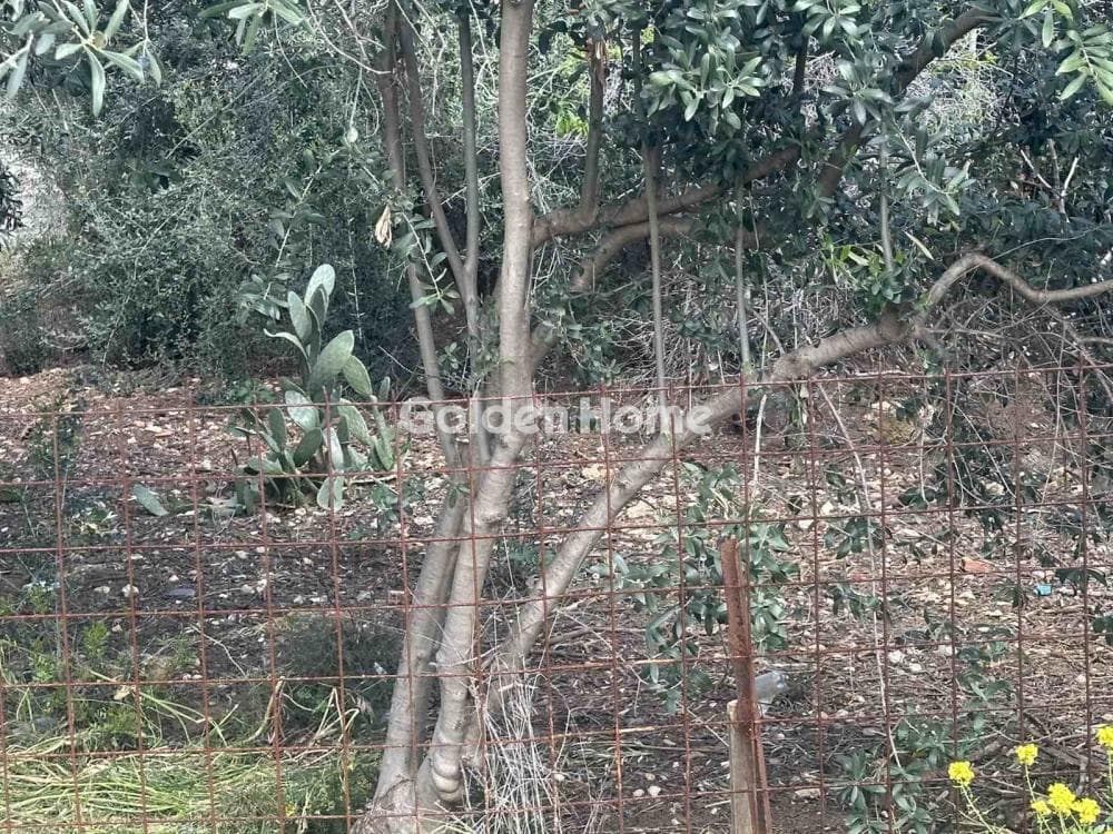 Οικόπεδο στην Γαργηττός, Γέρακας — Φωτογραφία 3 από 3
