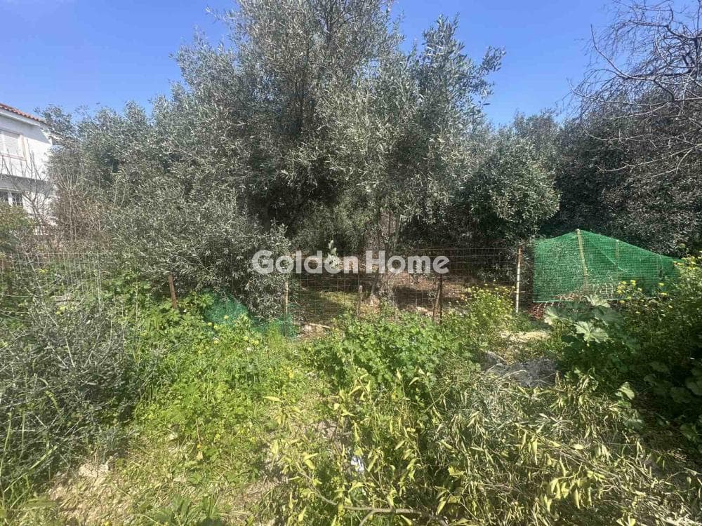 Οικόπεδο στην Γαργηττός, Γέρακας — Φωτογραφία 1 από 3