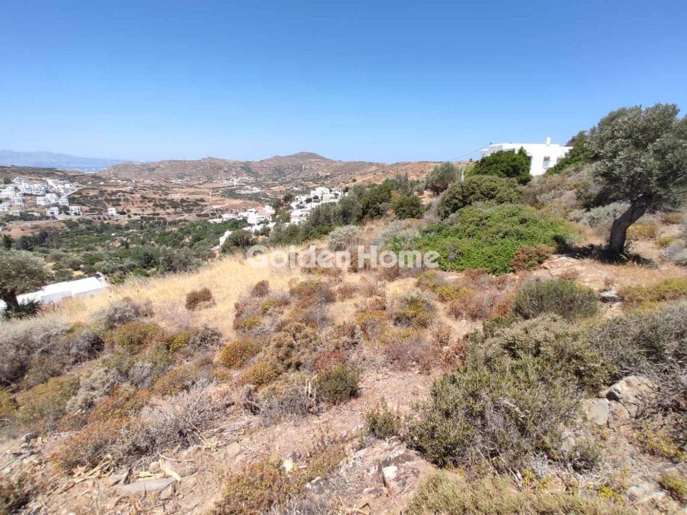 Parcel in Kourounochori, Naxos — Photo 4 of 9