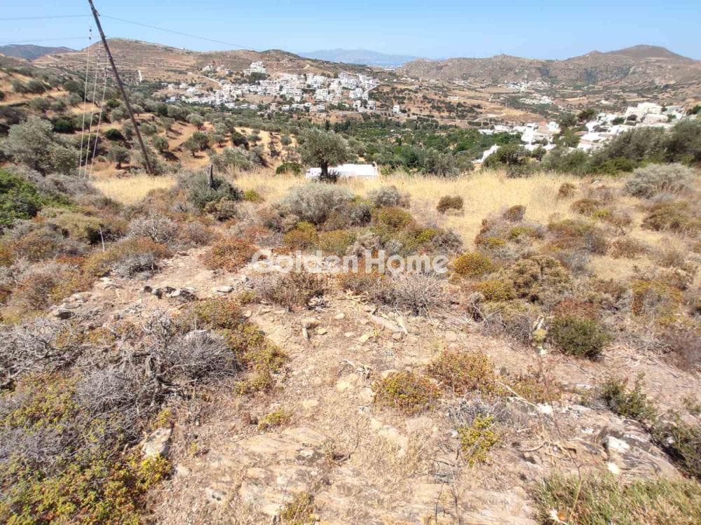 Parcel in Kourounochori, Naxos — Photo 8 of 9