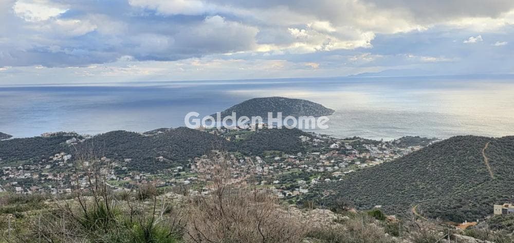Οικόπεδο στην Σαρωνίδα, Σαρωνίδα — Φωτογραφία 3 από 3
