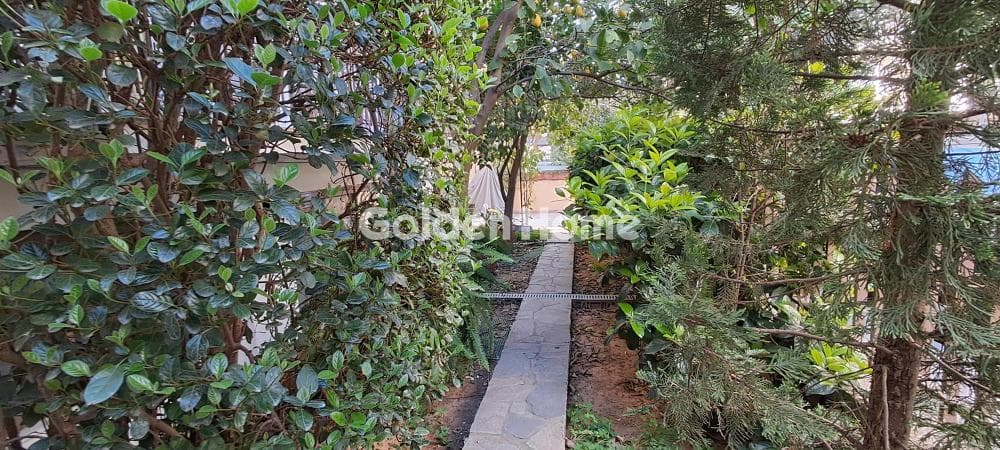 Apartment in Polidroso, Chalandri — Photo 12 of 12
