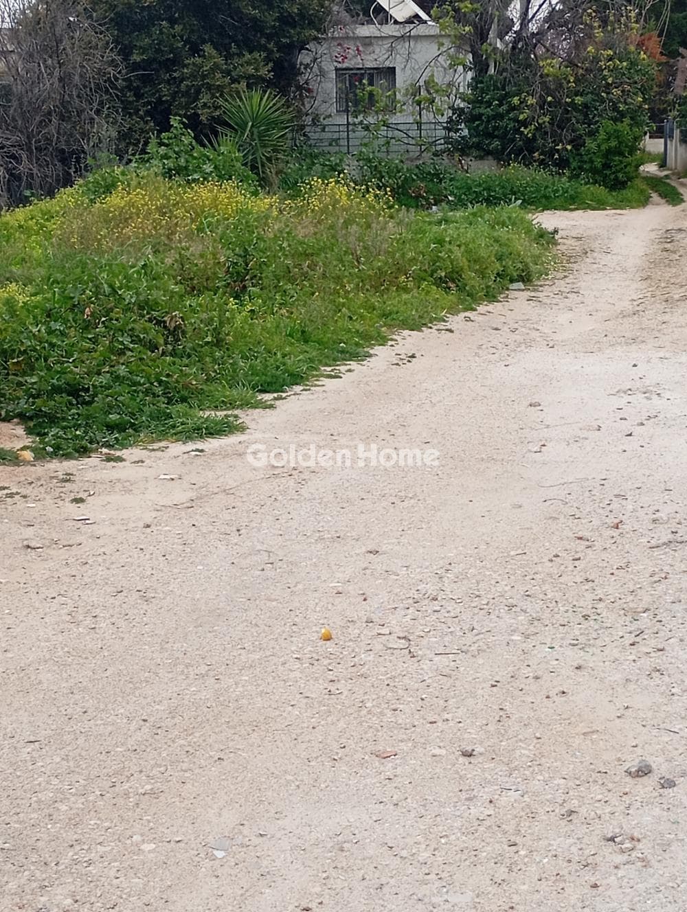 Οικόπεδο στην Άγιος Σεραφείμ, Αρτέμιδα (Λούτσα) — Φωτογραφία 2 από 4