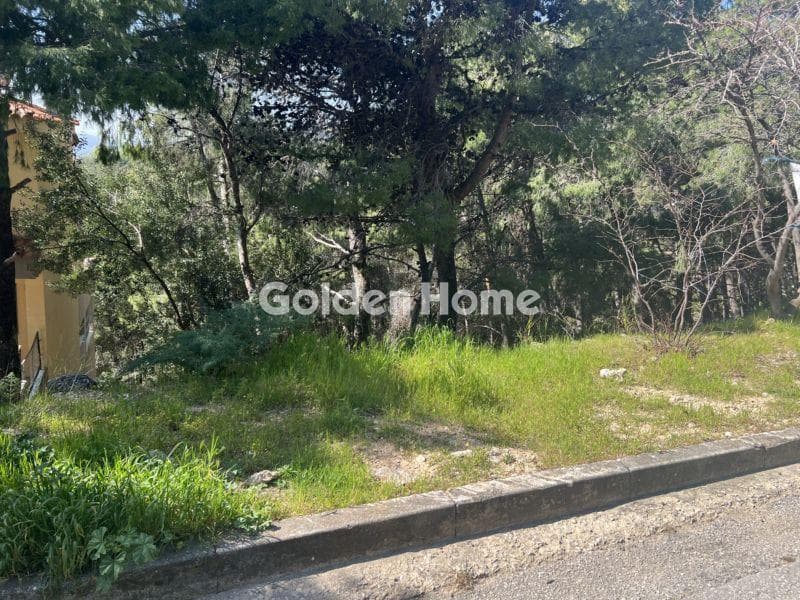 Building Plot in Megala Sxoinia A, Acharnes — Photo 1 of 4
