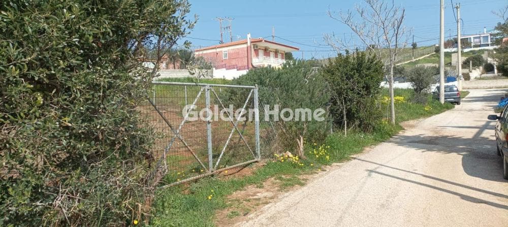 Αγροτεμάχιο στην Μικρολίμανο, Λαύριο — Φωτογραφία 1 από 10