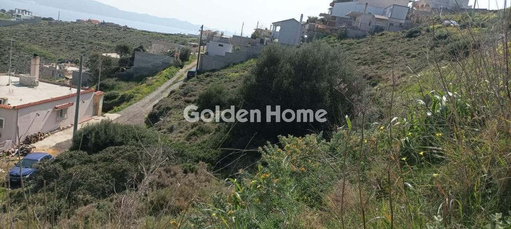 Αγροτεμάχιο στην Άγιος Γεώργιος Θορικού, Λαύριο — Φωτογραφία 4 από 15