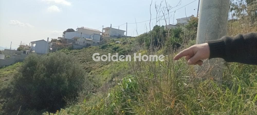 Αγροτεμάχιο στην Άγιος Γεώργιος Θορικού, Λαύριο — Φωτογραφία 2 από 15