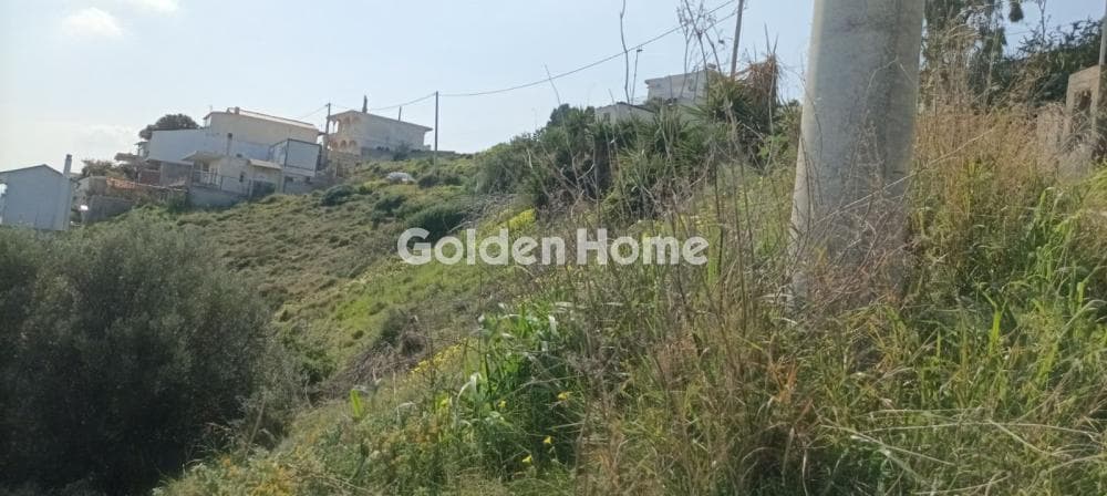 Αγροτεμάχιο στην Άγιος Γεώργιος Θορικού, Λαύριο — Φωτογραφία 8 από 15