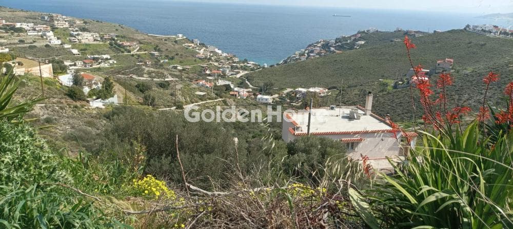 Αγροτεμάχιο στην Άγιος Γεώργιος Θορικού, Λαύριο — Φωτογραφία 12 από 15