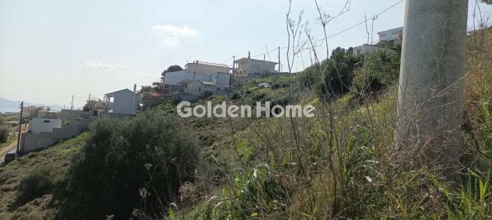 Αγροτεμάχιο στην Άγιος Γεώργιος Θορικού, Λαύριο — Φωτογραφία 13 από 15