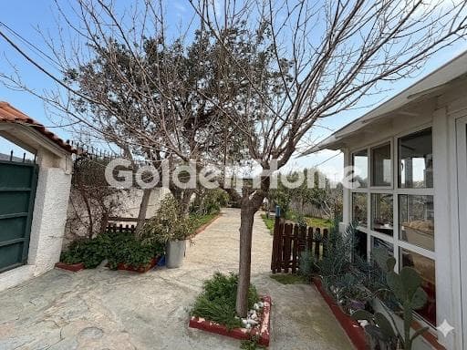 House in Lamprika, Koropi — Photo 18 of 26