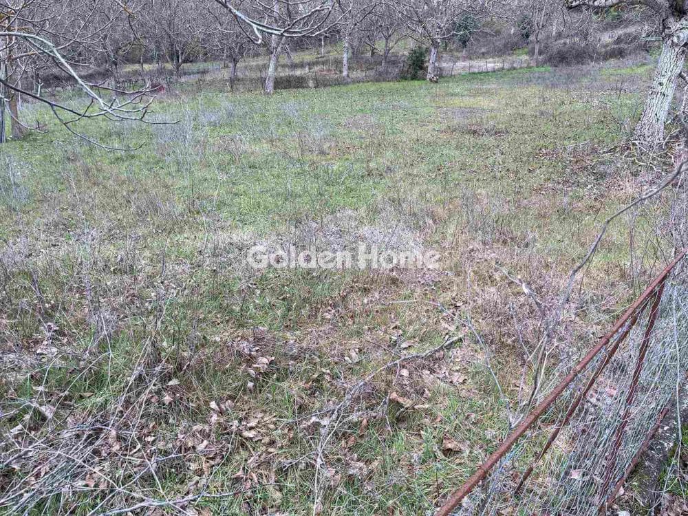 Οικόπεδο στην Νέα Παλλήνη, Παλλήνη — Φωτογραφία 1 από 2