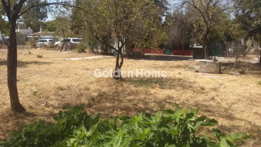 Building Plot in Adames Oikismos Grammos - Foinikas, Kifisia — Photo 6 of 6