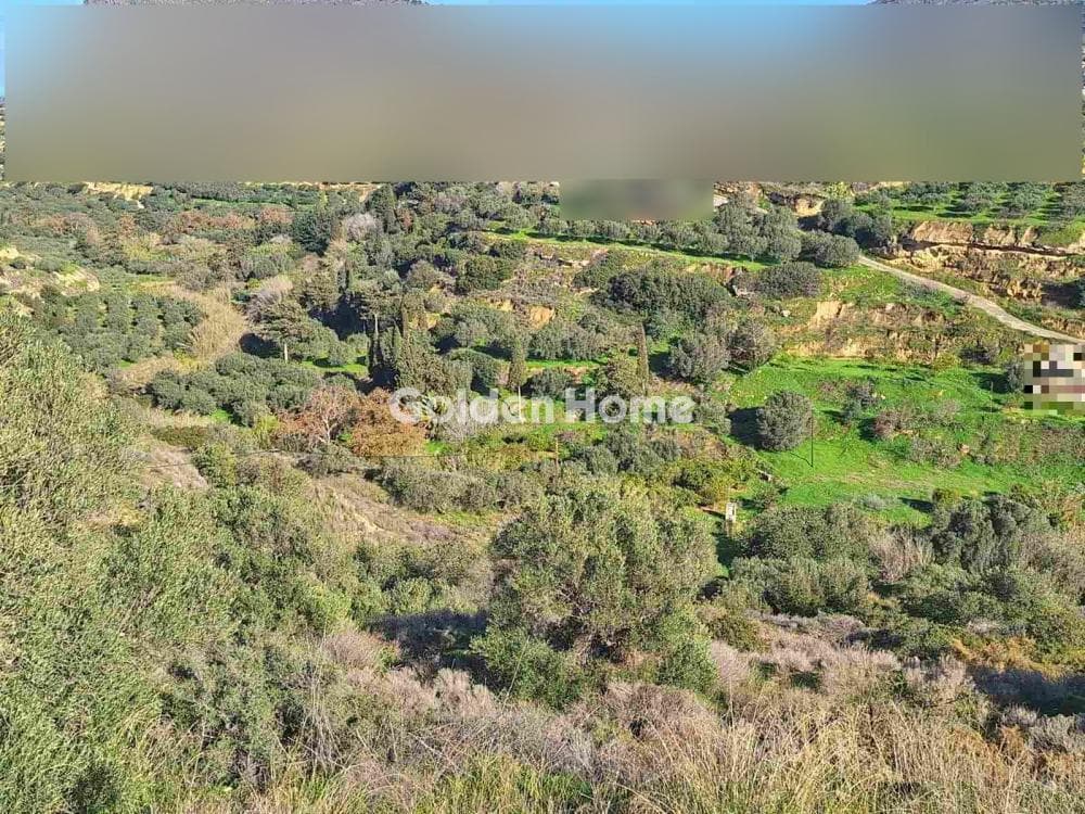 Οικόπεδο στην Σκοτεινό, Γούβες — Φωτογραφία 1 από 5