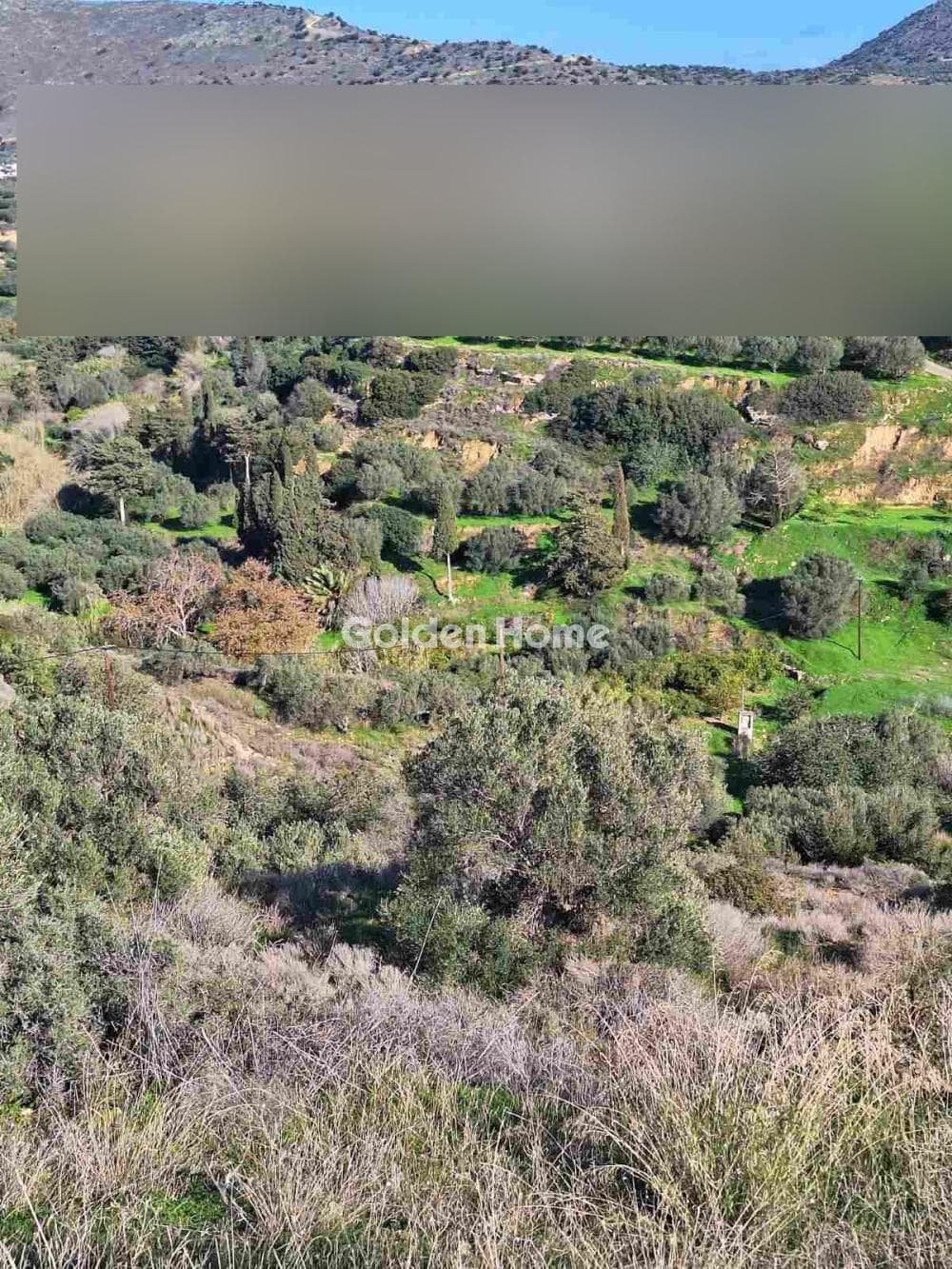Οικόπεδο στην Σκοτεινό, Γούβες — Φωτογραφία 5 από 5