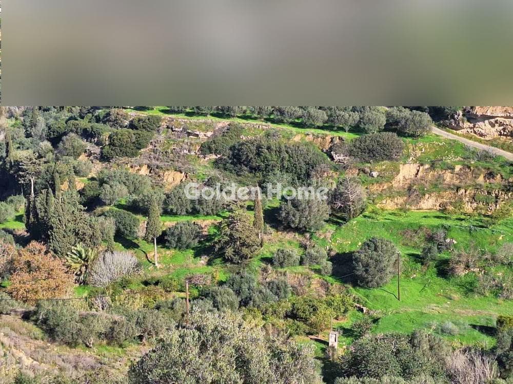 Οικόπεδο στην Σκοτεινό, Γούβες — Φωτογραφία 2 από 5