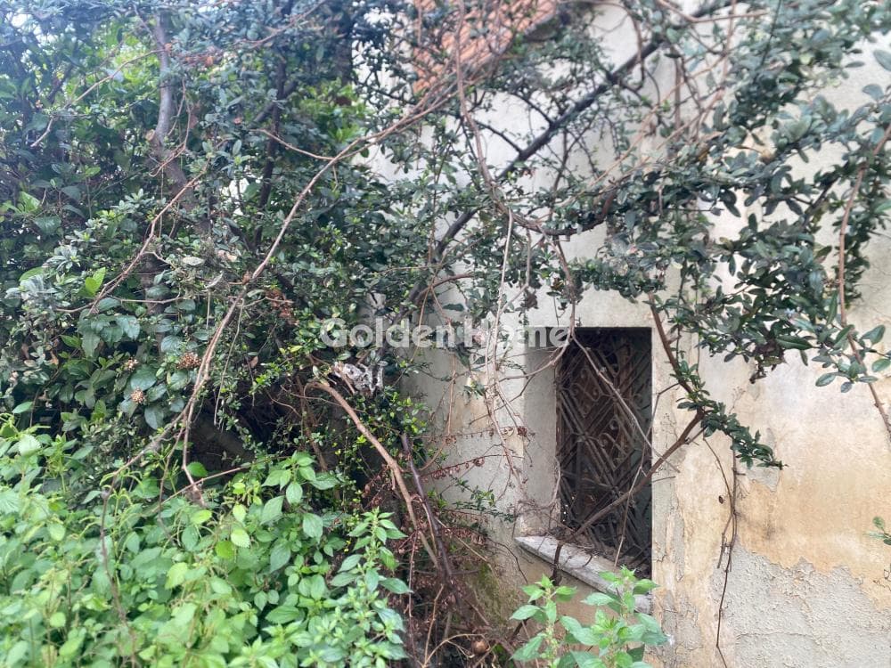 Building Plot in Agia Anna, Chalandri — Photo 1 of 2