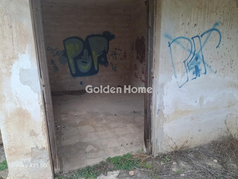 Μονοκατοικία στην Βορινέζα, Αρτέμιδα (Λούτσα) — Φωτογραφία 16 από 21