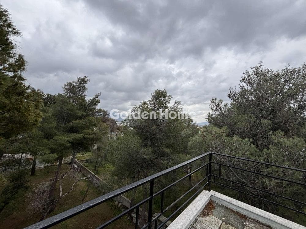 House in Megala Sxoinia A, Acharnes — Photo 21 of 21