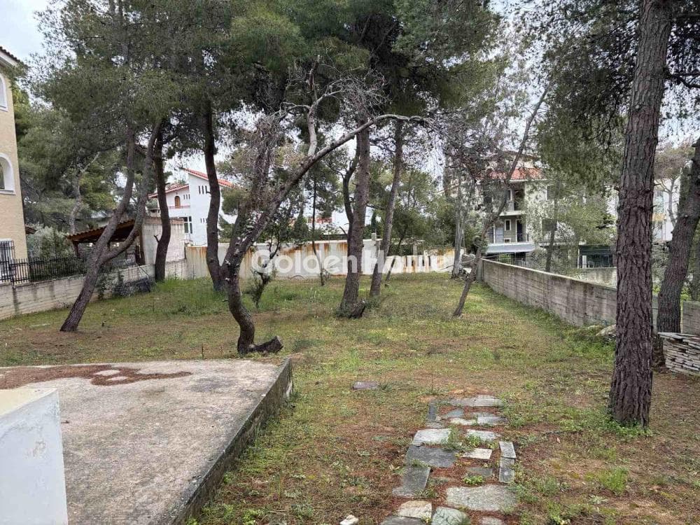 House in Megala Sxoinia A, Acharnes — Photo 17 of 21