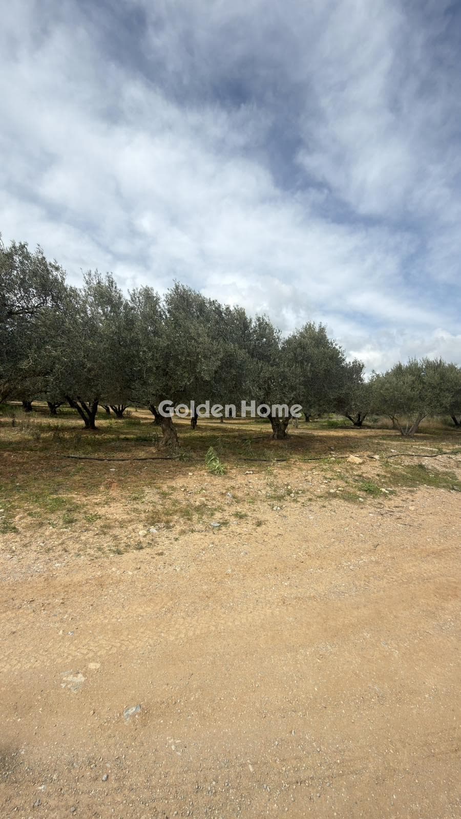 Building Plot in Kastelli, Kastelli — Photo 1 of 26