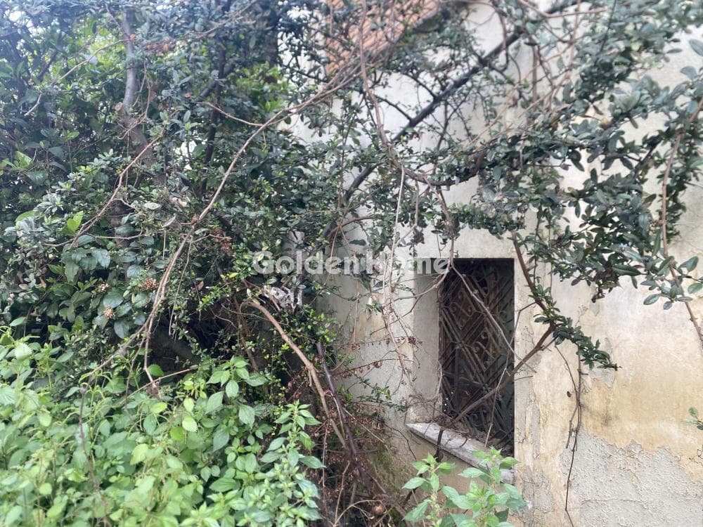 Μονοκατοικία στην Αγία Άννα, Χαλάνδρι — Φωτογραφία 2 από 3
