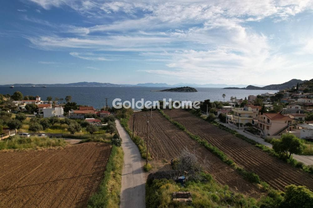 Οικόπεδο στην Γιάλα, Σαλαμίνα — Φωτογραφία 2 από 6