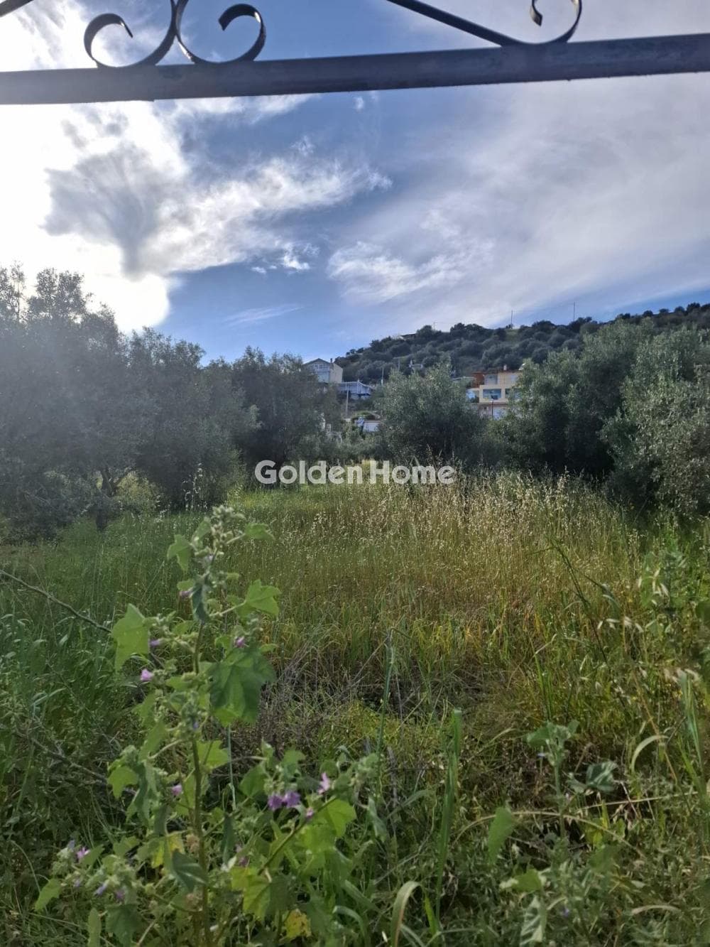 Οικόπεδο στην Γιάλα, Σαλαμίνα — Φωτογραφία 4 από 6