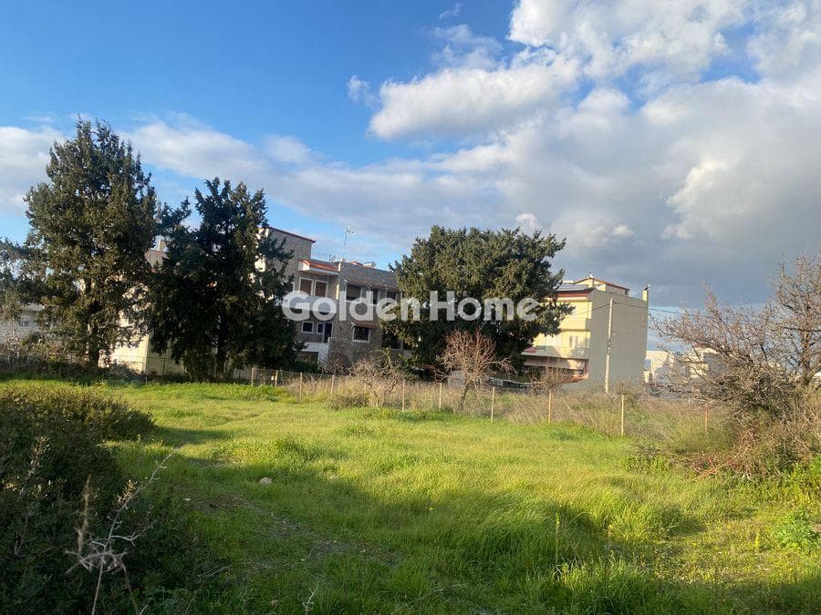 Οικόπεδο στην Αγία Παρασκευή, Σαλαμίνα — Φωτογραφία 1 από 3