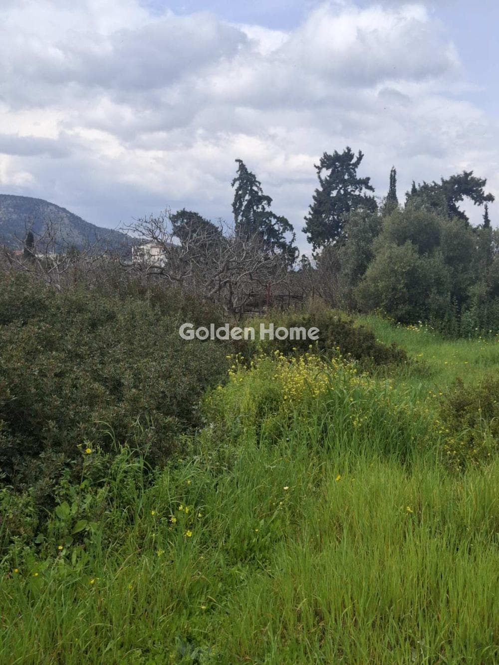 Οικόπεδο στην Αγία Παρασκευή, Σαλαμίνα — Φωτογραφία 3 από 3