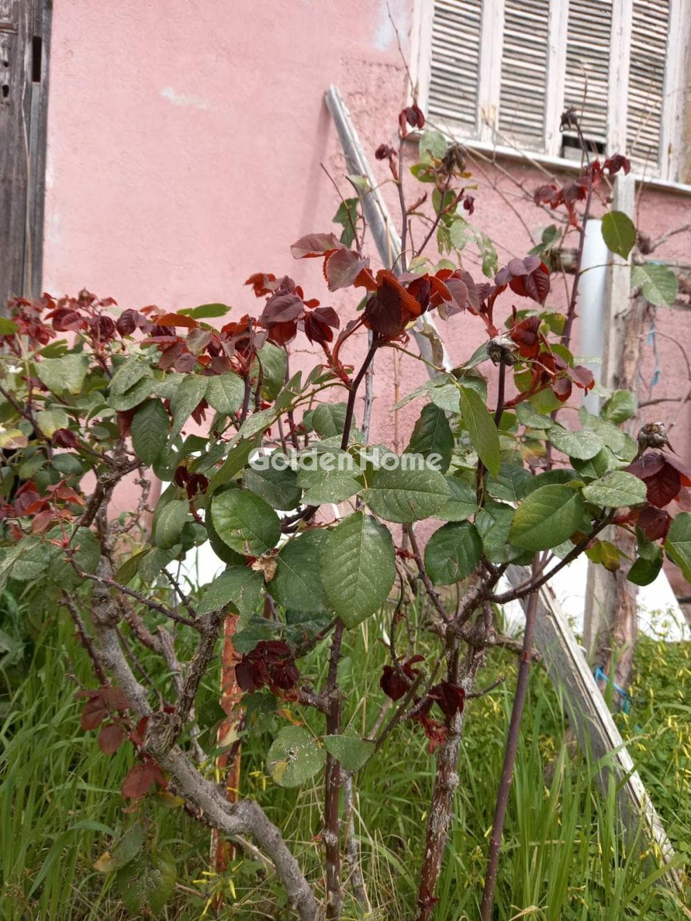 Οικόπεδο στην Μεγάλα Σχοινία Α, Αχαρνές