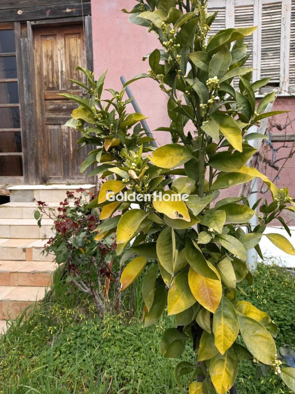 House in Megala Sxoinia A, Acharnes