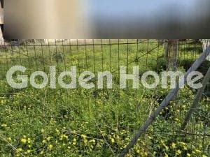 Building Plot in Agios Ioannis Knossou, Heraclion Cretes — Photo 4 of 4