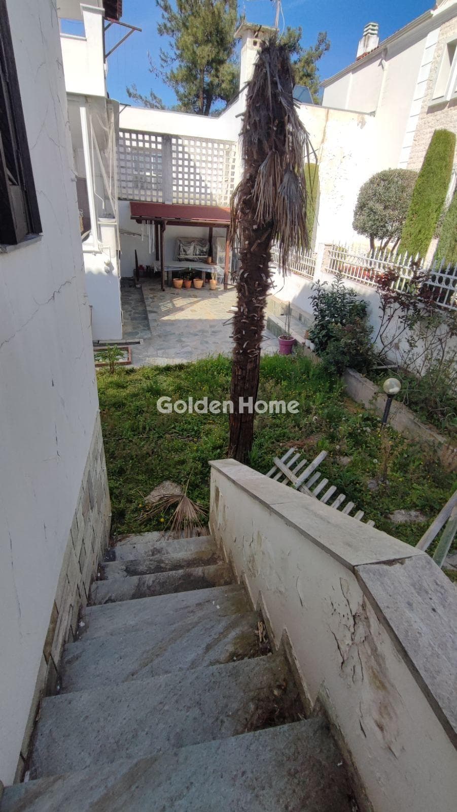 House in Center, Panorama — Photo 12 of 45