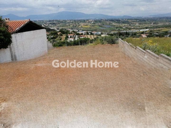 Building Plot in Limni Markopoulou, Markopoulo — Photo 2 of 8