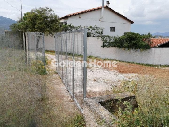 Building Plot in Limni Markopoulou, Markopoulo — Photo 5 of 8
