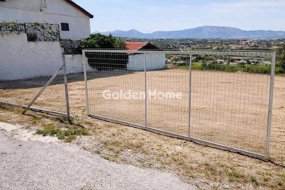 Building Plot in Limni Markopoulou, Markopoulo — Photo 6 of 8