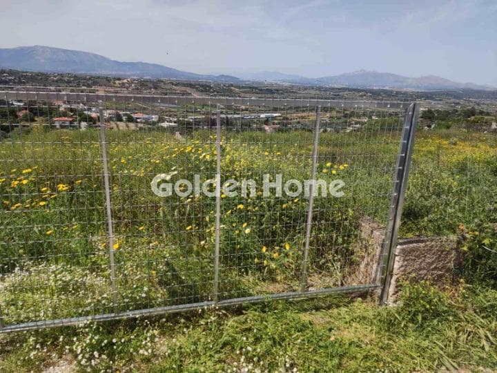 Building Plot in Limni Markopoulou, Markopoulo — Photo 8 of 8